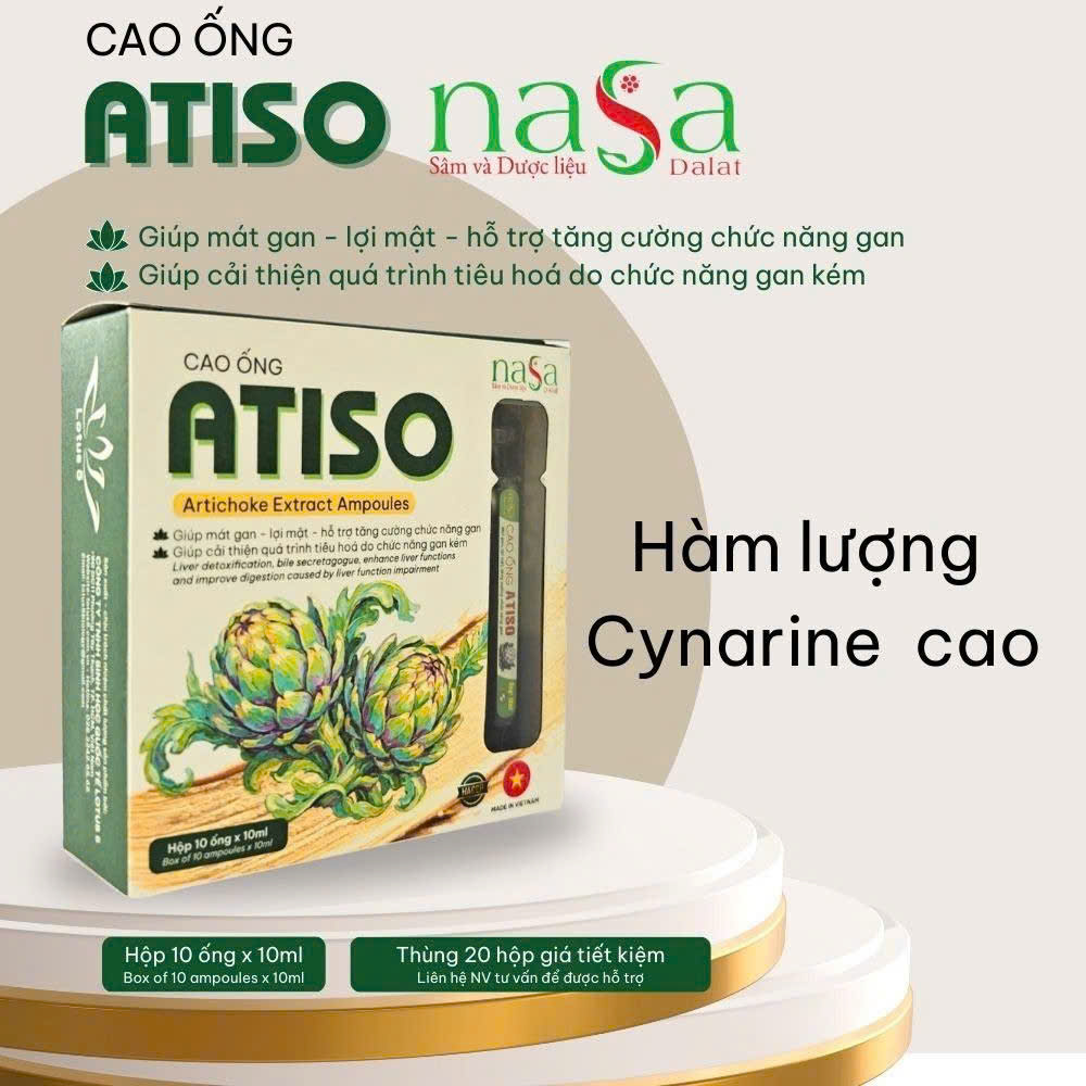 Cao ống Atiso NASA Đà Lạt - Gan khoẻ, thận vui - Ăn ngủ ngon - đẹp da - Ảnh 2