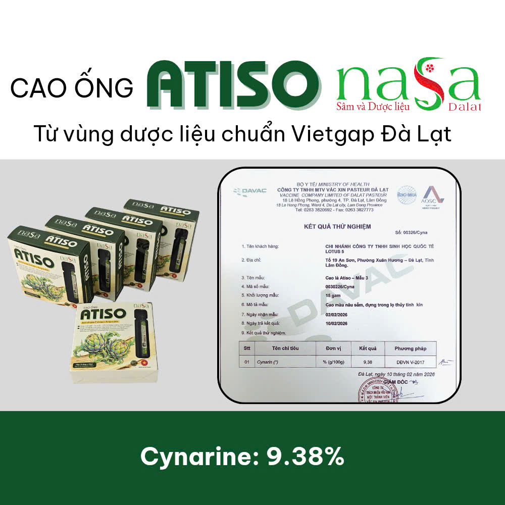 Cao ống Atiso NASA Đà Lạt - Gan khoẻ, thận vui - Ăn ngủ ngon - đẹp da - Ảnh 3