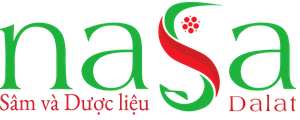 NASA DALAT