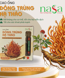 Alternative view of Cao Ống Đông Trùng Hạ Thảo - Hộp 10 ống 100ml