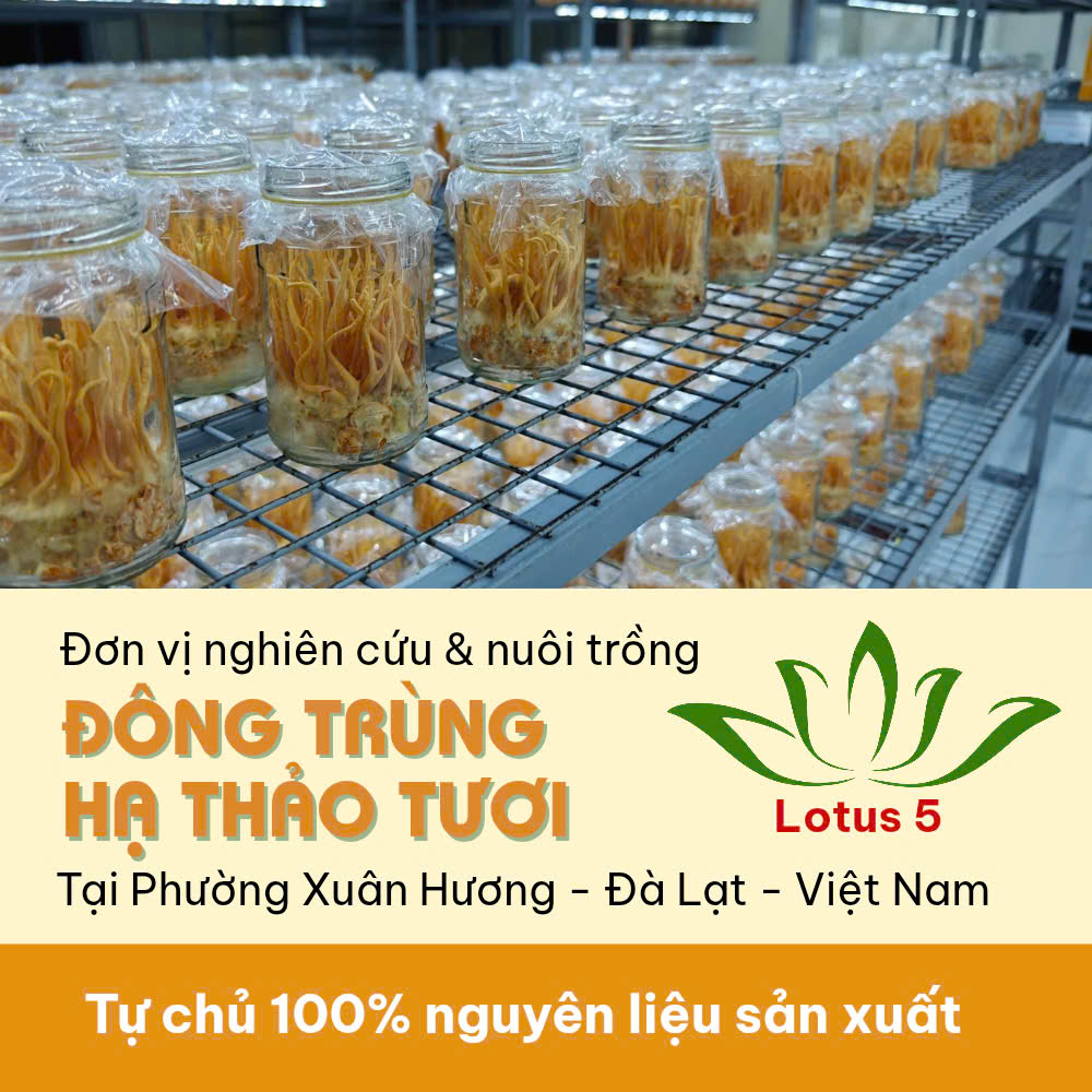Cao Ống Đông Trùng Hạ Thảo - Hộp 10 ống 100ml - Ảnh 4