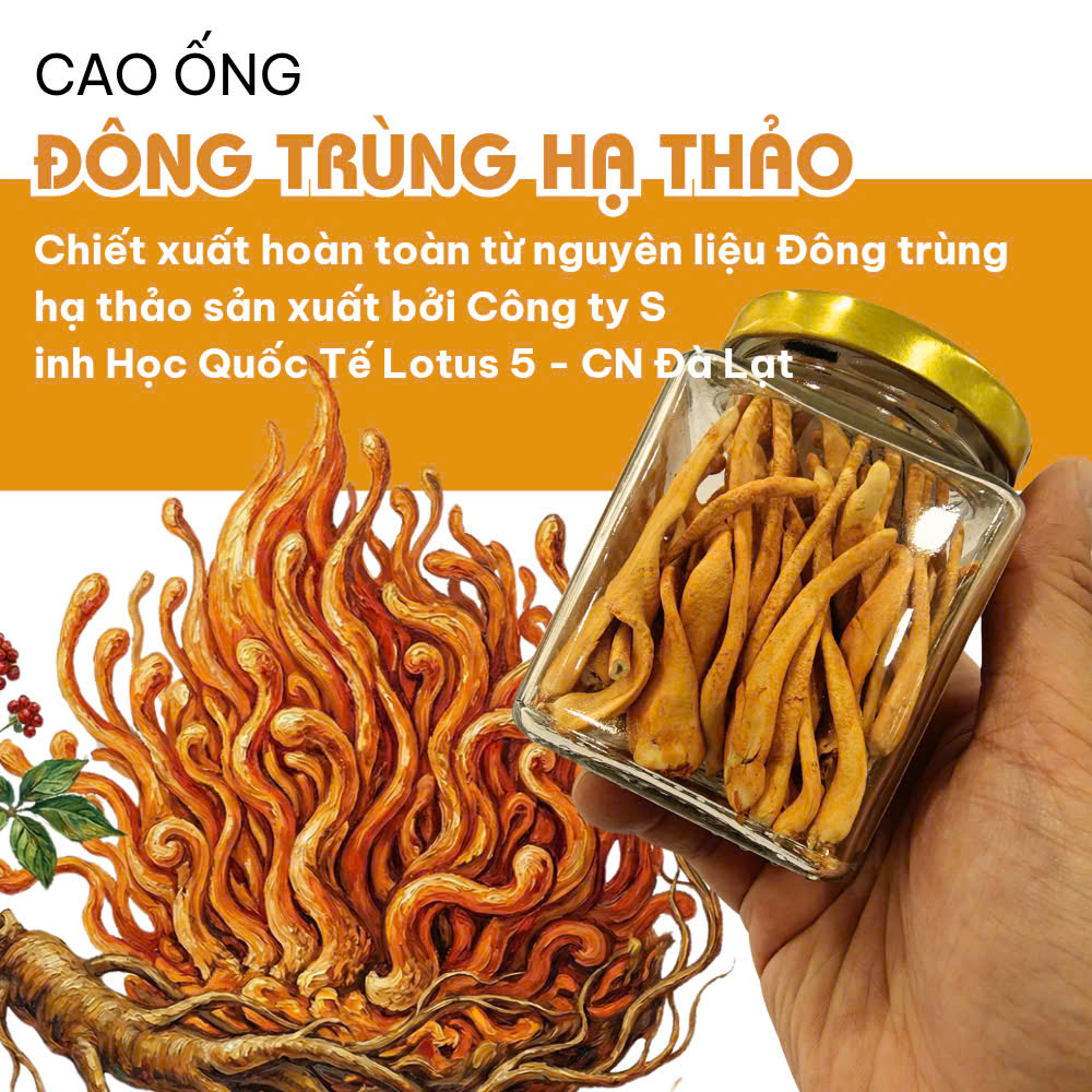 Cao Ống Đông Trùng Hạ Thảo - Hộp 10 ống 100ml - Ảnh 6