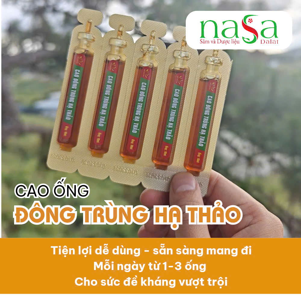 Cao Ống Đông Trùng Hạ Thảo - Hộp 10 ống 100ml - Ảnh 7