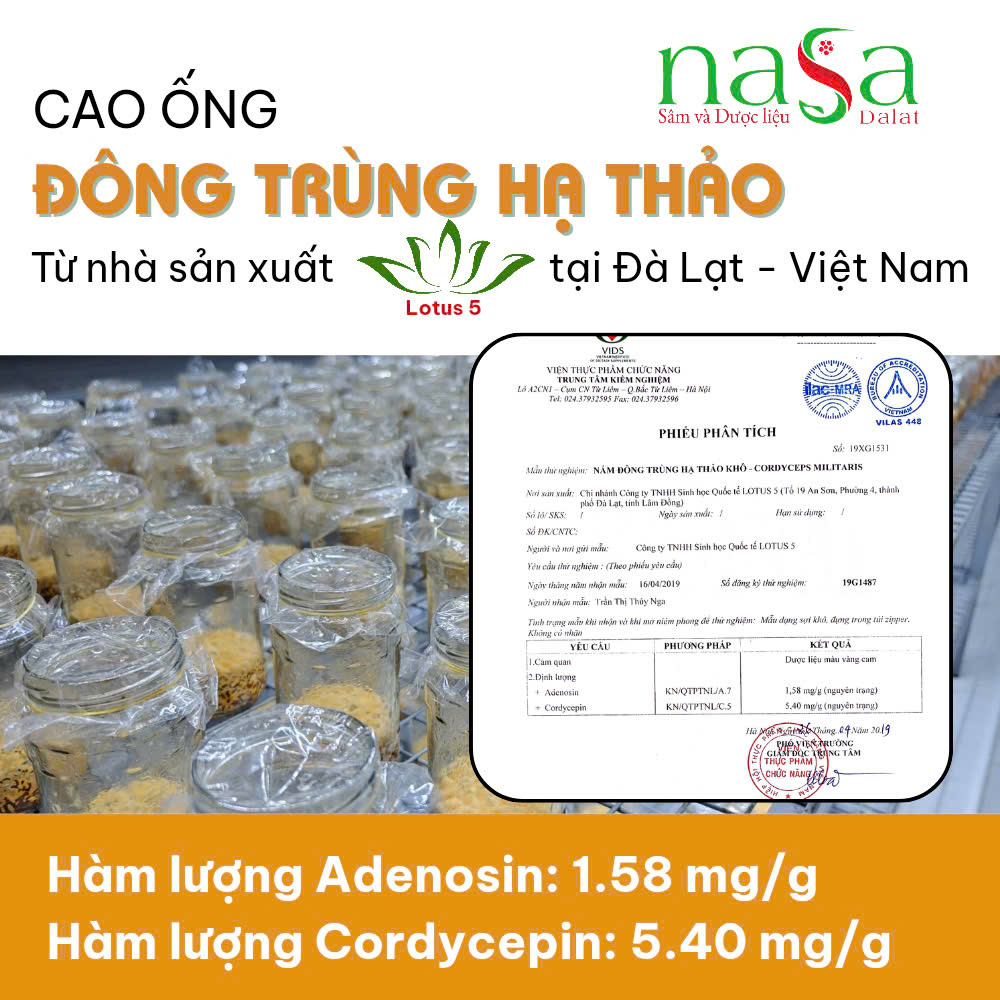 Cao Ống Đông Trùng Hạ Thảo - Hộp 10 ống 100ml - Ảnh 8