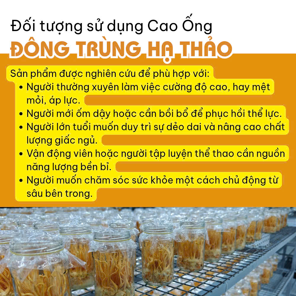 Cao Ống Đông Trùng Hạ Thảo - Hộp 10 ống 100ml - Ảnh 9