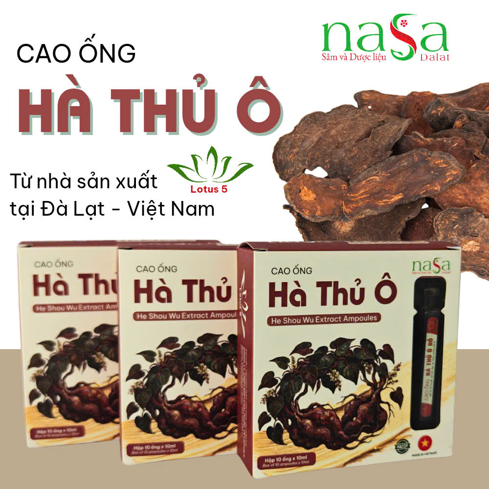 Cao Ống Hà Thủ Ô Đỏ NASA Đà Lạt - Dưỡng huyết - Tốt cho da và tóc - Ảnh 4