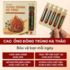 Cao Ống Đông Trùng Hạ Thảo - Hộp 10 ống 100ml
