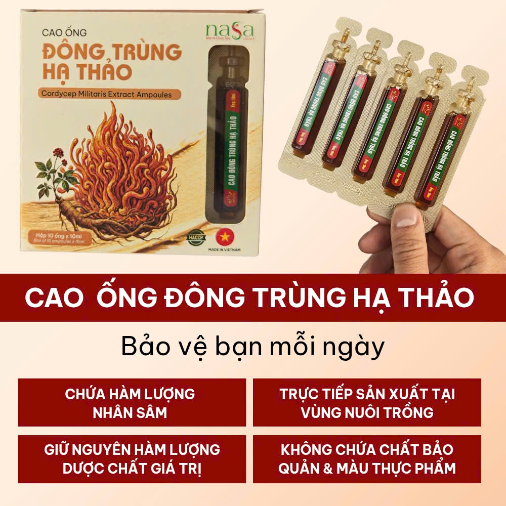 Cao Ống Đông Trùng Hạ Thảo - Hộp 10 ống 100ml
